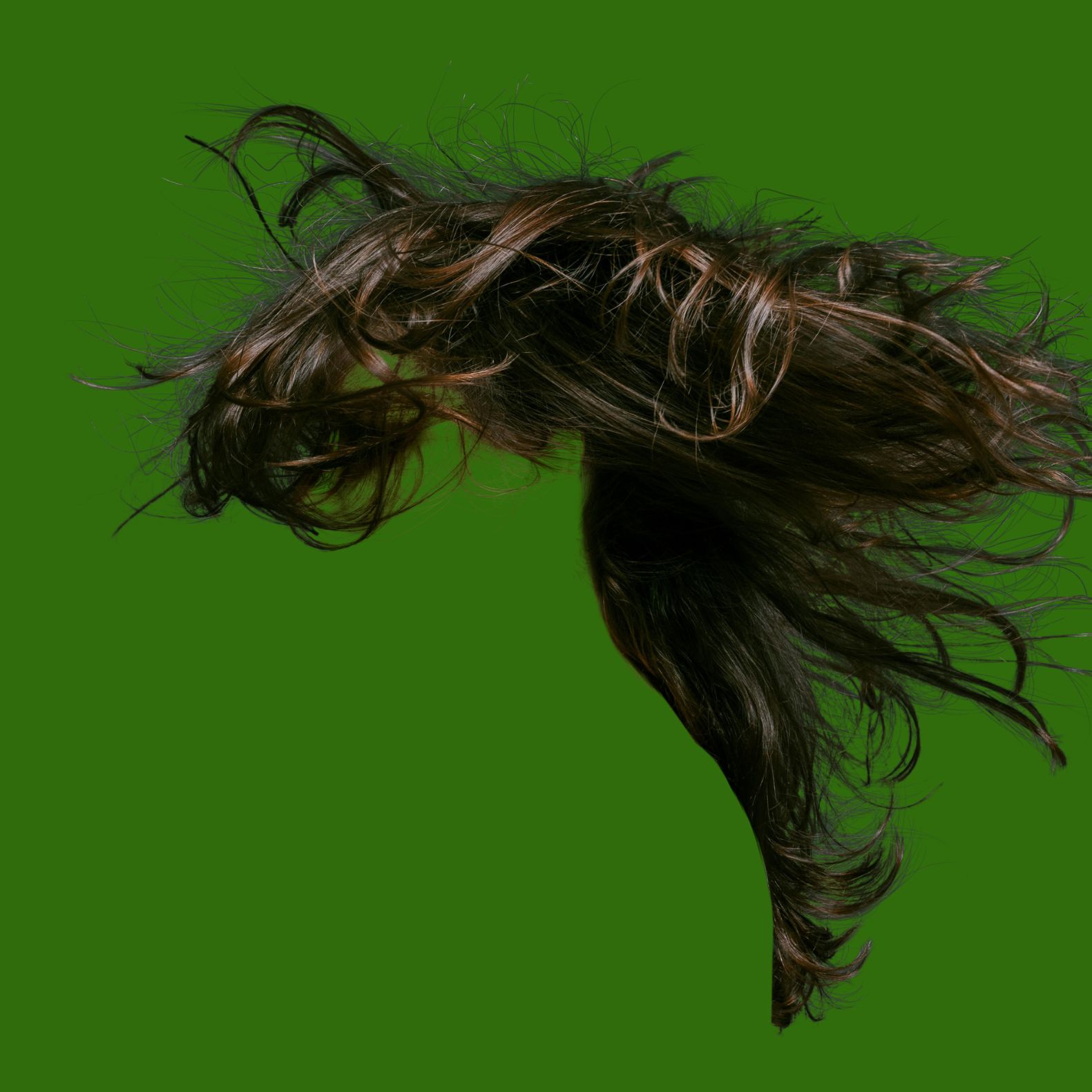 hair 2 hair 2